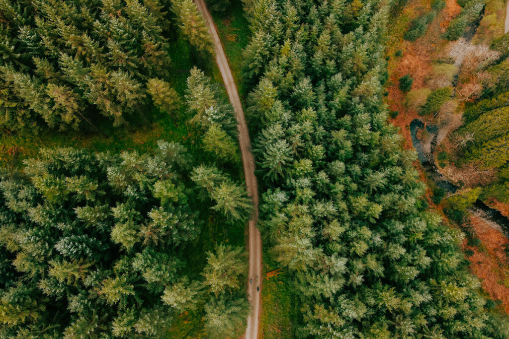 Slieve Bloom, Trail, Co Laois